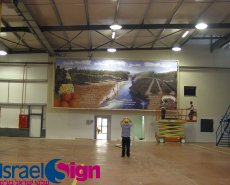 שמשוניות וקאפות