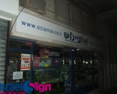 שמשוניות וקאפות